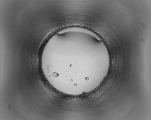 X0000111780304200908201115