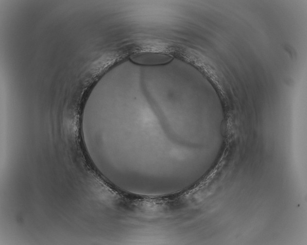 X0000111780305200908201115