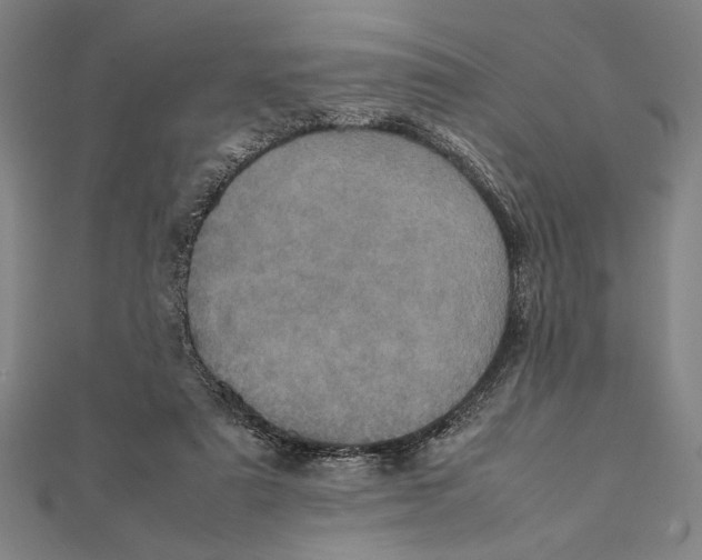 X0000111780307200908201115