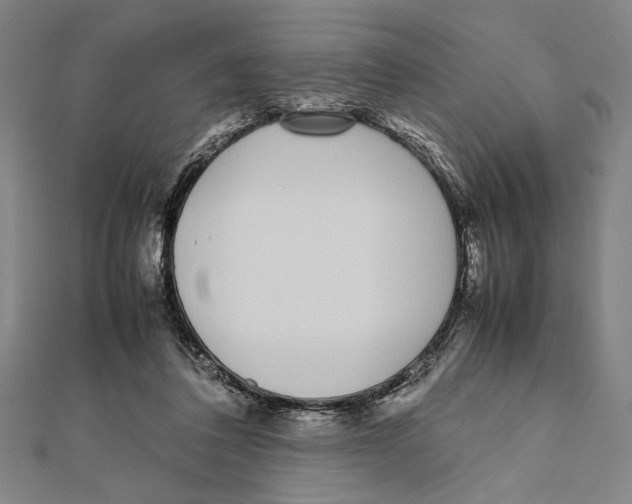 X0000111780308200908201115