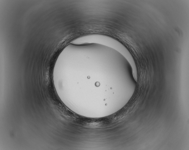 X0000111780312200908201115