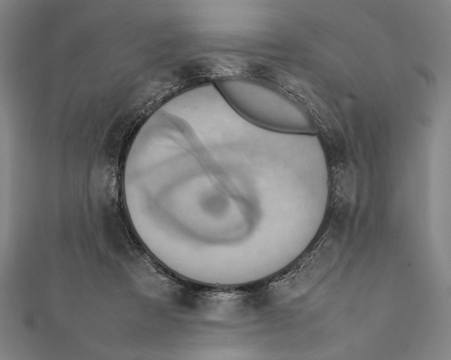X0000111780313200908201115