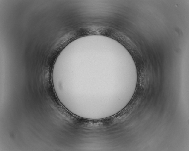 X0000111780314200908201115