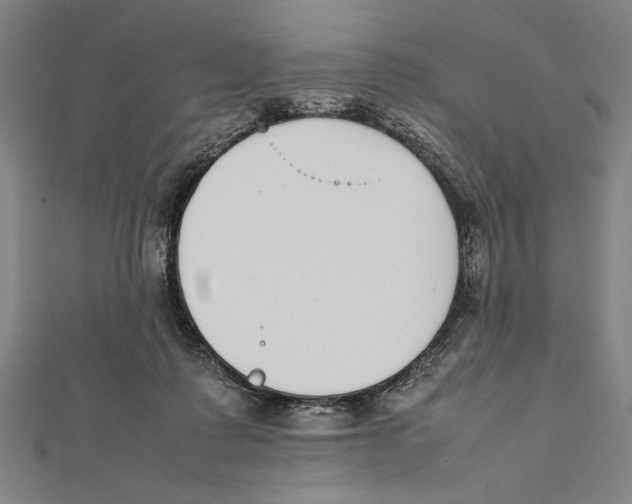 X0000111780315200908201115
