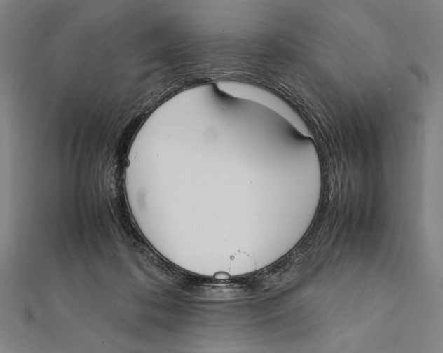 X0000111780316200908201115