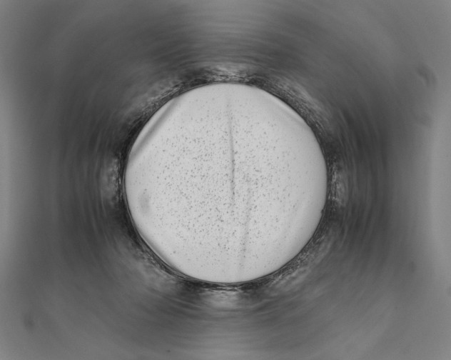 X0000111780318200908201115