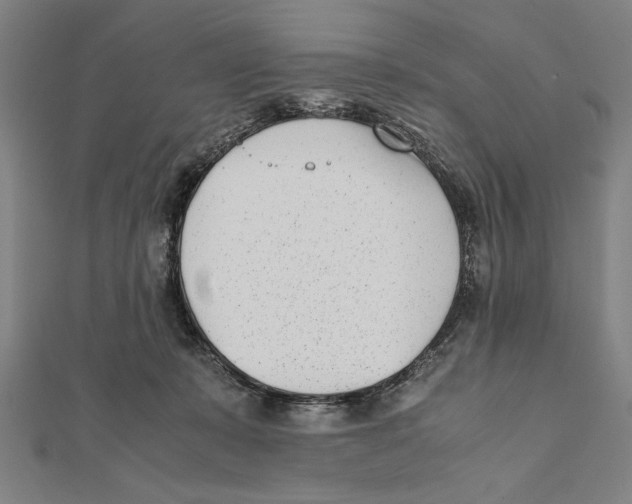 X0000111780319200908201115