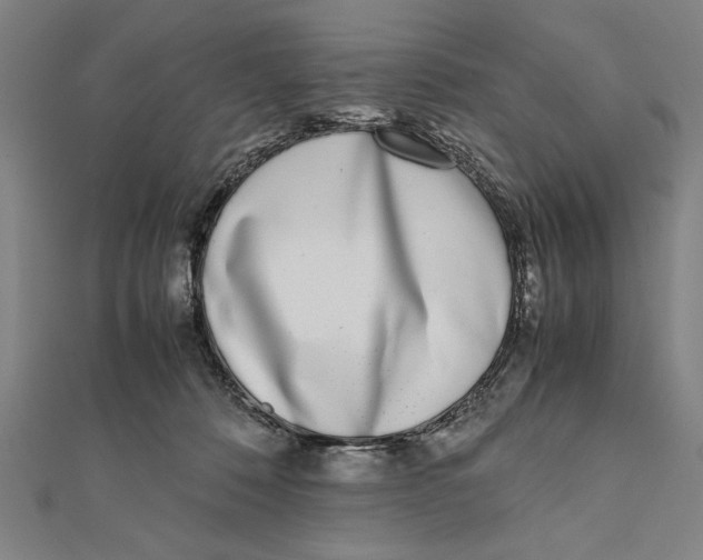 X0000111780320200908201115