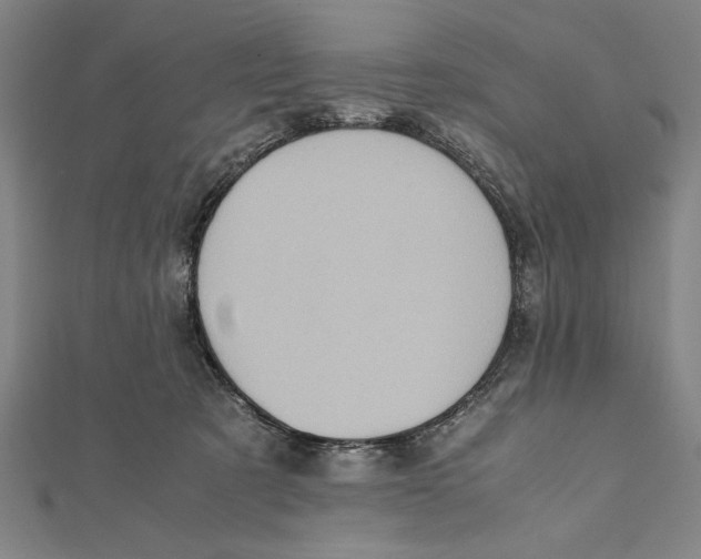 X0000111780321200908201115