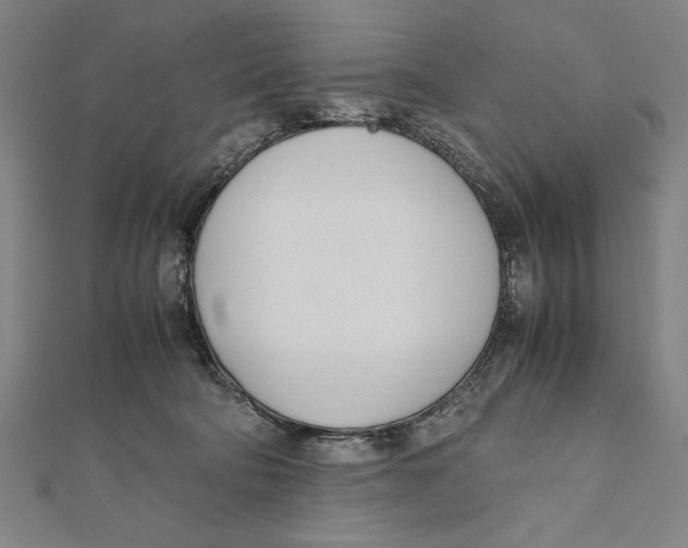 X0000111780322200908201115
