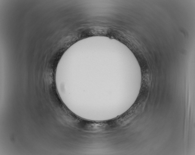 X0000111780323200908201115