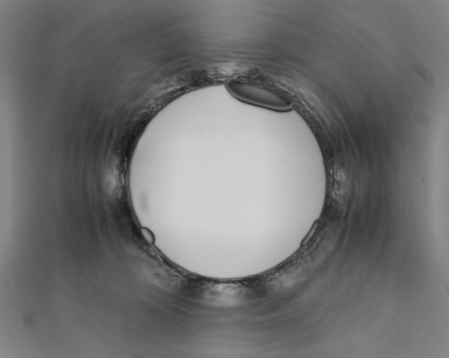 X0000111780324200908201115
