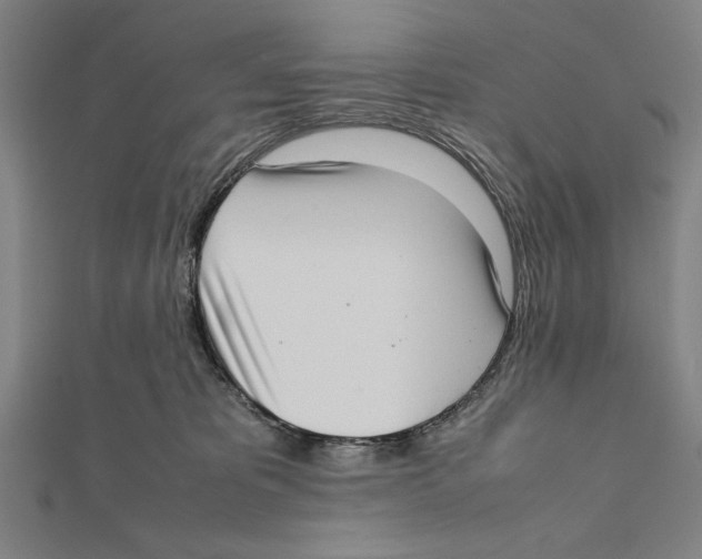 X0000111780325200908201115