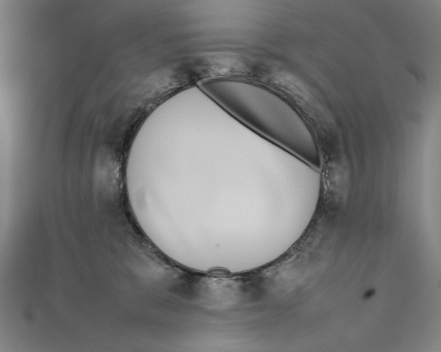 X0000111780327200908201115