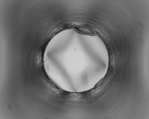 X0000111780328200908201115