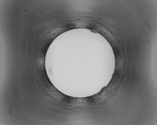 X0000111780329200908201115