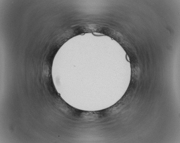 X0000111780331200908201115
