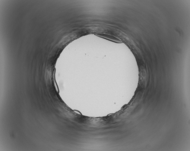 X0000111780333200908201115
