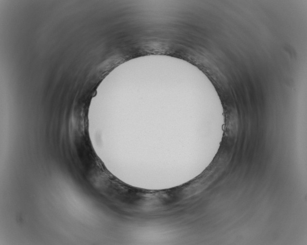 X0000111780334200908201115