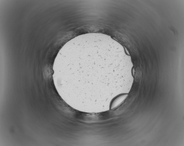 X0000111780335200908201115