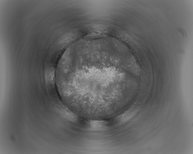 X0000111780336200908201115