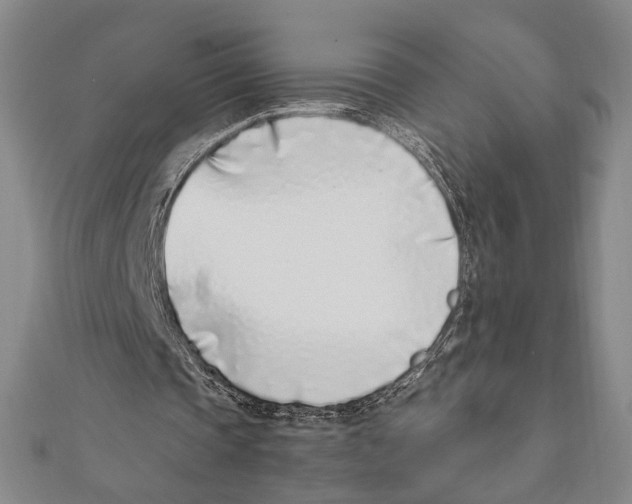 X0000111780337200908201114