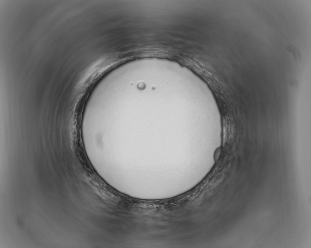 X0000111780339200908201114