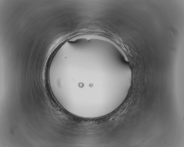 X0000111780340200908201114