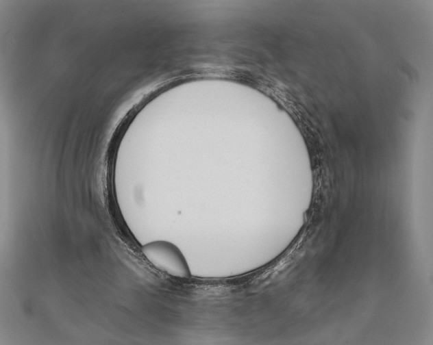 X0000111780342200908201114