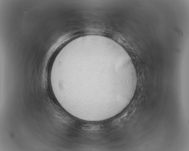 X0000111780343200908201114