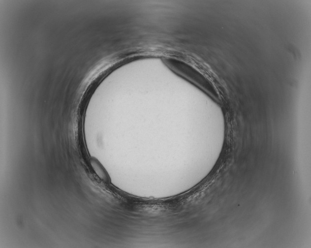 X0000111780344200908201114