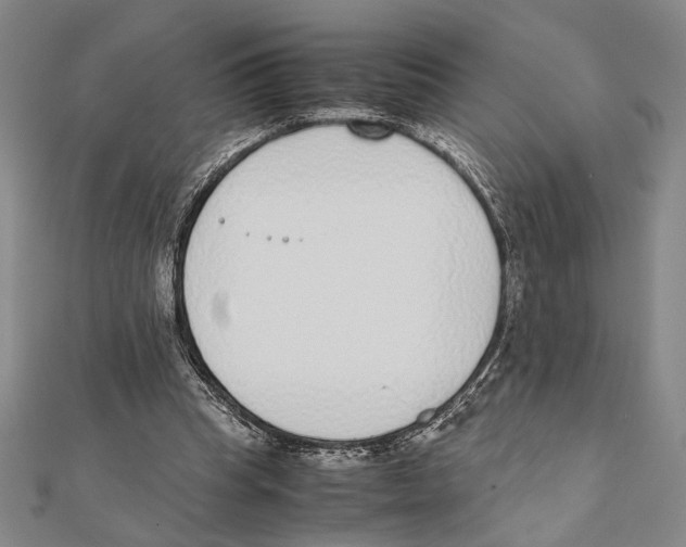 X0000111780345200908201114