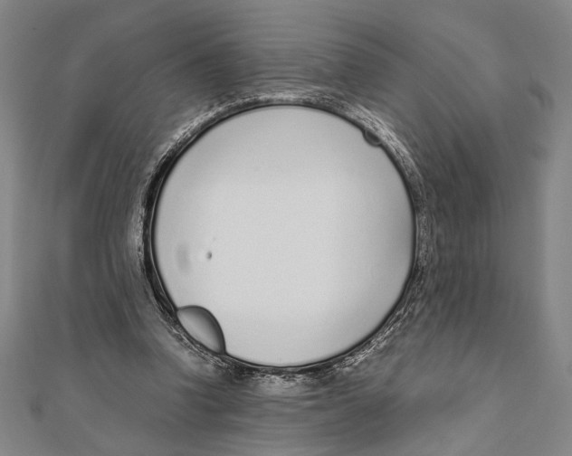 X0000111780346200908201114