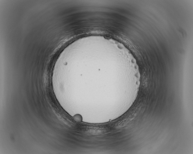 X0000111780347200908201114