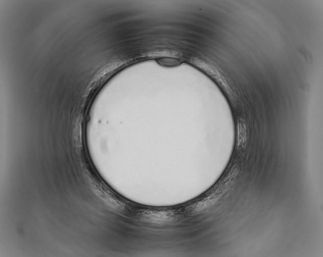 X0000111780349200908201114