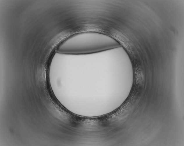 X0000111780350200908201114