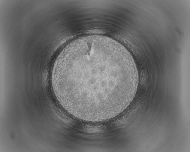 X0000111780351200908201114