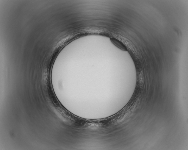 X0000111780352200908201114