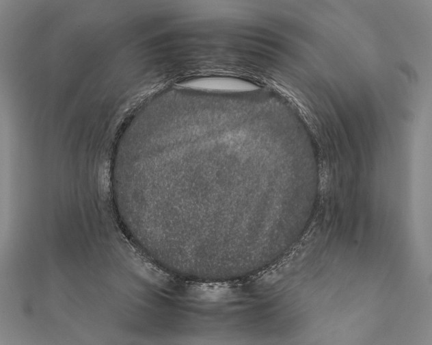 X0000111780353200908201114