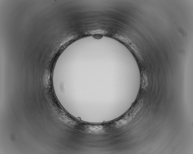 X0000111780355200908201114