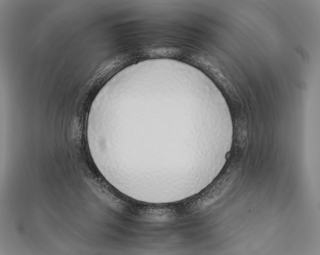 X0000111780357200908201114