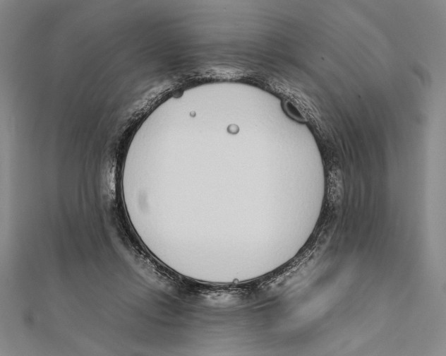 X0000111780358200908201114