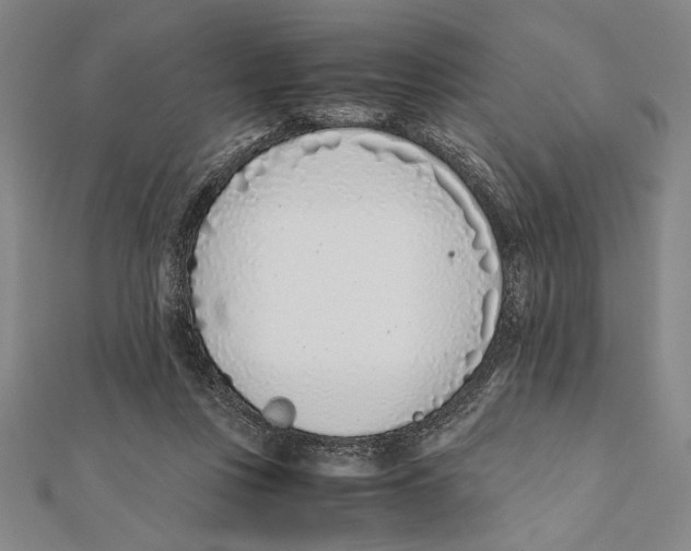 X0000111780359200908201114