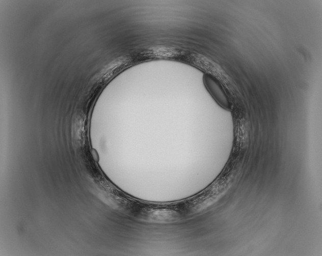 X0000111780360200908201115