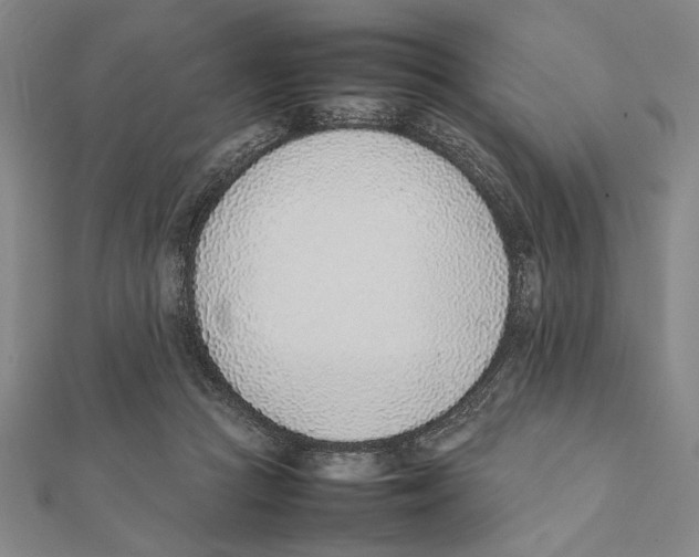 X0000111780361200908201115