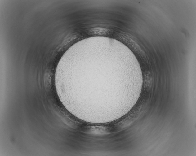 X0000111780363200908201115