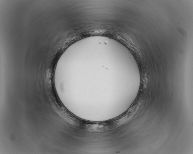 X0000111780366200908201115