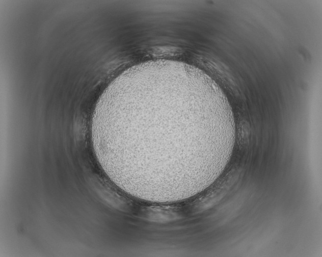 X0000111780367200908201115