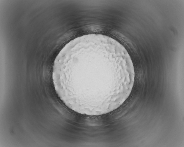 X0000111780373200908201115