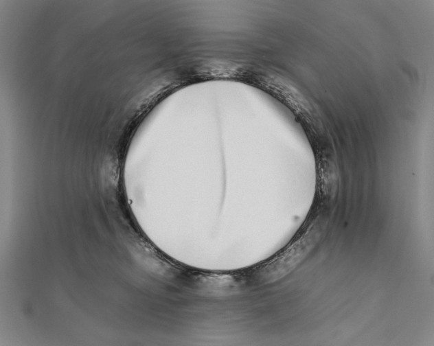 X0000111780374200908201115